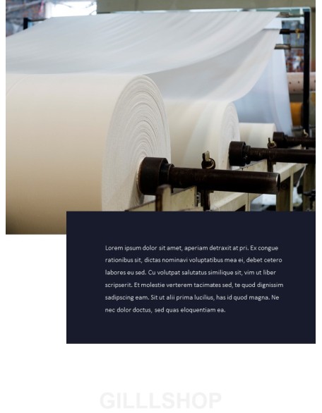 Pulp and Paper Industry Startup PPT Templates