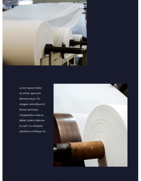 Pulp and Paper Industry Startup PPT Templates