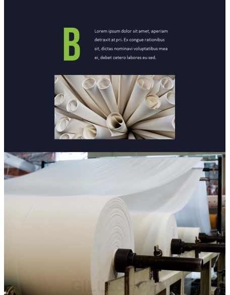 Pulp and Paper Industry Startup PPT Templates