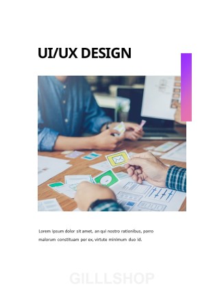 UX designer Business Presentation Templates