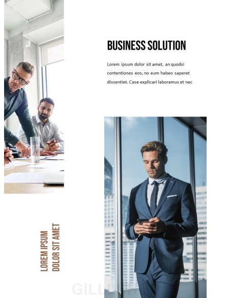 Business Plan portfolio template