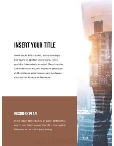 Business Plan portfolio template