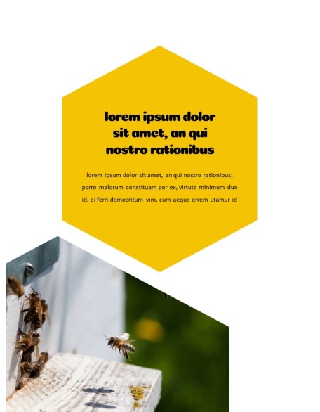 Beekeeping and Honey Best Presentation Design