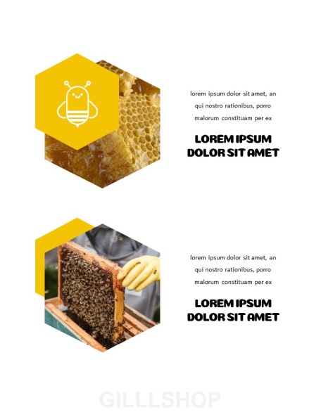 Beekeeping and Honey Best Presentation Design